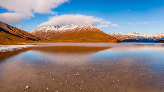 成人黄色网站在线播放视频